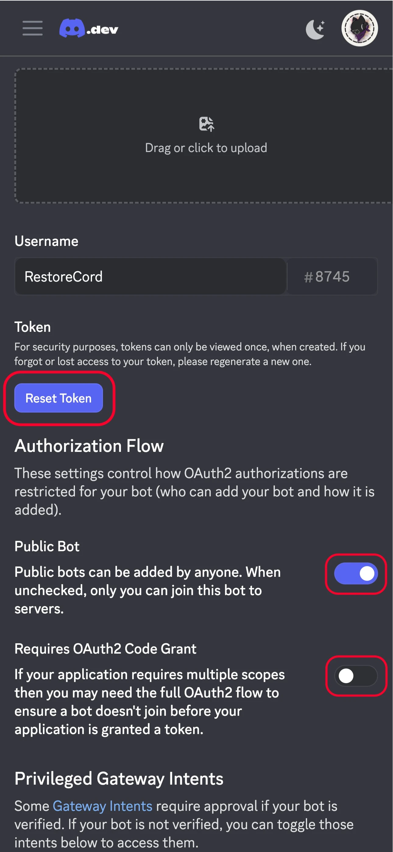 Discord bot token screen